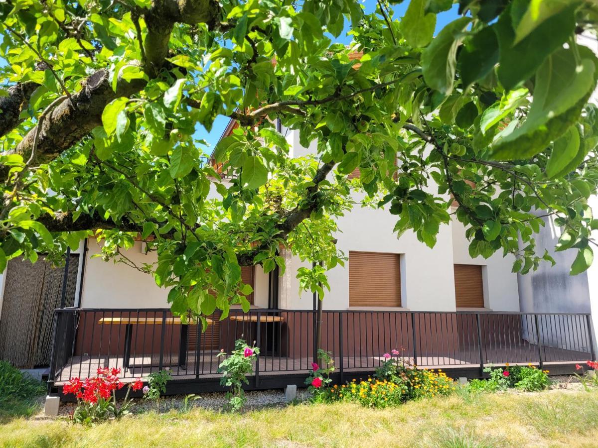 Casa Julio, Bonita Casa Comoda Y Espaciosa, Totalmente Reformada Con Terraza Y Jardin Privado Riezu Bagian luar foto